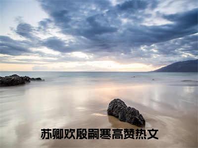 苏卿欢殷嗣寒（苏卿欢殷嗣寒）全文免费阅读_苏卿欢殷嗣寒（苏卿欢殷嗣寒）最新章节列表笔趣阁