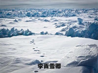 李青雪卿（李青雪卿）全文免费李青雪卿读无弹窗大结局_李青雪卿免费李青雪卿读最新章节列表_笔趣阁