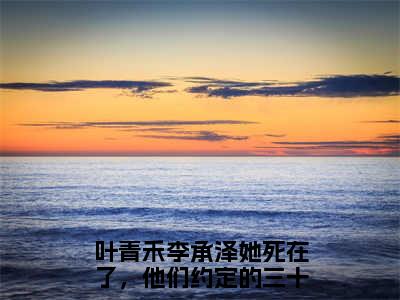 她死在了，他们约定的三十岁小说全文（叶青禾李承泽）在线阅读-她死在了，他们约定的三十岁全文免费阅读无弹窗大结局