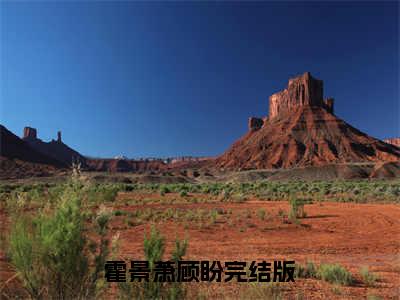 霍景萧顾盼无删减（霍景萧顾盼）全文免费阅读无弹窗大结局_霍景萧顾盼最新章节列表（霍景萧顾盼）