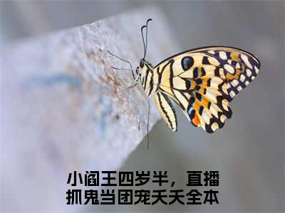 小阎王四岁半，直播抓鬼当团宠夭夭全文小说（小阎王四岁半，直播抓鬼当团宠夭夭）全文免费阅读无弹窗大结局_小阎王四岁半，直播抓鬼当团宠夭夭最新章节列表_笔趣阁（小阎王四岁半，直播抓鬼当团宠夭夭）