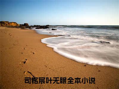 司铭宸叶无眠小说全文（司铭宸叶无眠）全文免费阅读无弹窗大结局_司铭宸叶无眠小说全文最新章节列表_笔趣阁(司铭宸叶无眠小说全文）