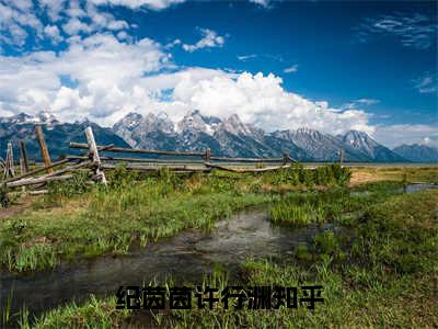 纪茵茵许行渊（纪茵茵许行渊）小说全文免费阅读-纪茵茵许行渊在线阅读的小说完整版