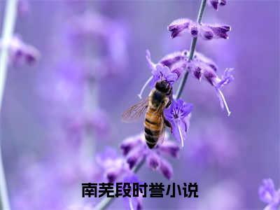 南芜段时誉主角是南芜段时誉全文免费阅读无弹窗-南芜段时誉最新章节列表-笔趣阁