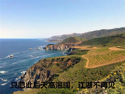 秦云峥沈如涵（只愿此后天高海阔，江湖不再见）小说全文免费阅读无弹窗_（只愿此后天高海阔，江湖不再见全文阅读）秦云峥沈如涵免费阅读大结局