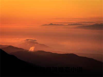 林知雪陆晟鸣小说(林知雪陆晟鸣)全文免费阅读_林知雪陆晟鸣（林知雪陆晟鸣）最新章节完整版免费阅读（林知雪陆晟鸣）