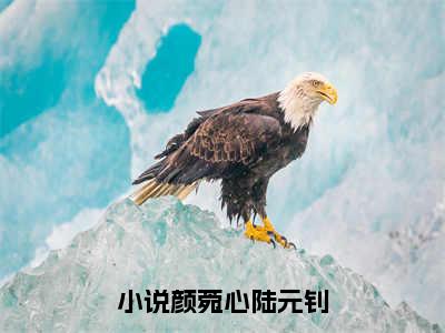 颜菀心陆元钊（颜菀心陆元钊）全文免费阅读无弹窗大结局_颜菀心陆元钊最新章节（颜菀心陆元钊）