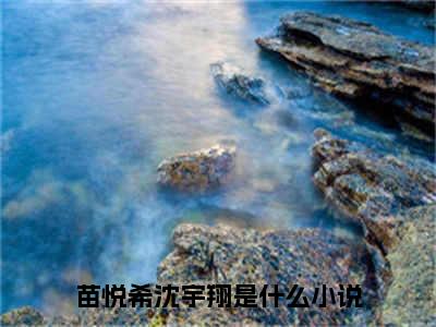 苗悦希沈宇翔（苗悦希沈宇翔）正版小说最新章节在线阅读_（苗悦希沈宇翔全文免费阅读无弹窗）