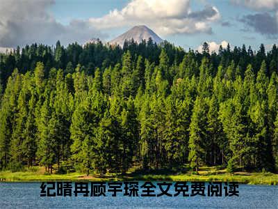 纪晴冉顾宇琛（纪晴冉顾宇琛）全文免费阅读大结局-（纪晴冉顾宇琛）最新章节阅读