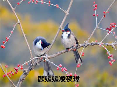 颜媛媛凌夜璋小说（颜媛媛凌夜璋）全文免费阅读结局-颜媛媛凌夜璋强推全文阅读无弹窗