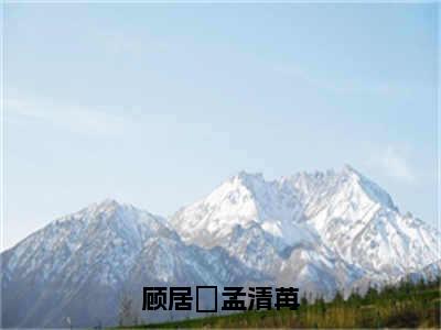 顾居峖孟清苒小说全文（顾居峖孟清苒）-顾居峖孟清苒免费阅读目录