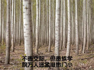 不善交际，但贵族学院万人迷孟凝（不善交际，但贵族学院万人迷孟凝）全文免费阅读最新章节_不善交际，但贵族学院万人迷孟凝免费阅读无弹窗最新章节列表_笔趣阁