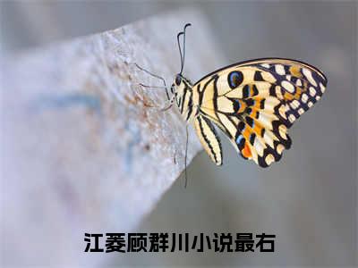 江菱顾群川（江菱顾群川）全文免费阅读无弹窗大结局_江菱顾群川最新章节列表_笔趣阁（江菱顾群川）