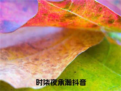 时柒夜承瀚（时柒夜承瀚）全文免费阅读大结局-（时柒夜承瀚）最新章节阅读