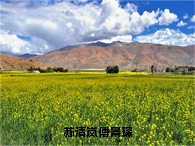 苏清岚傅景琛全文免费阅读（苏清岚傅景琛小说）全文免费阅读无弹窗大结局_（苏清岚傅景琛全文免费阅读无弹窗）苏清岚傅景琛小说最新章节列表_笔趣阁（苏清岚傅景琛）