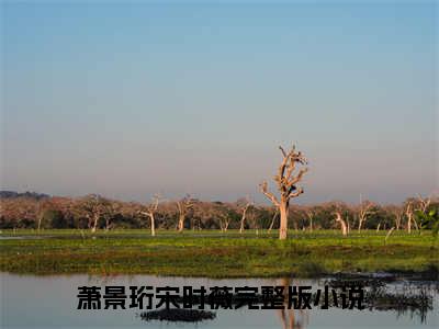 萧景珩宋时薇小说限时免费，萧景珩宋时薇完结版小说阅读无弹窗_笔趣阁