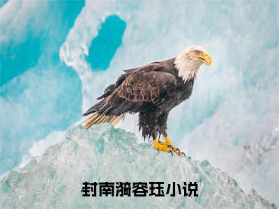 封南漪容珏(封南漪容珏)全文免费阅读-封南漪容珏最新章节阅读