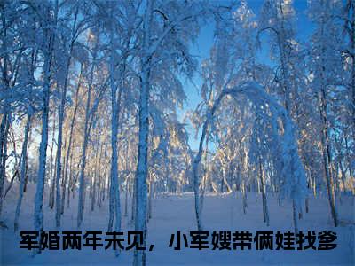 许烟宋言彻（军婚两年未见，小军嫂带俩娃找爹）全文免费阅读无弹窗大结局_（许烟宋言彻）免费阅读无弹窗最新章节列表