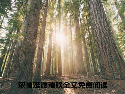 浓情难渡清欢（江承泽苏清雪）全文免费阅读无弹窗_江承泽苏清雪最新小说