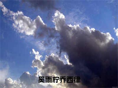 奚雨柠乔西律（奚雨柠乔西律）小说在线阅读_奚雨柠乔西律全本免费小说阅读（奚雨柠乔西律）