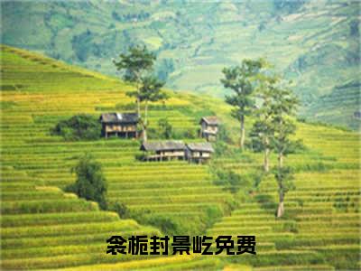 衾栀封景屹全文免费阅读无弹窗大结局-衾栀封景屹(衾栀封景屹小说)最新章节-笔趣阁