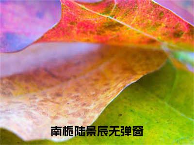 南栀陆景辰小说全文（南栀陆景辰）-南栀陆景辰免费阅读目录