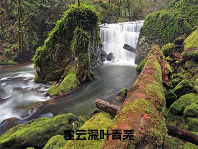 霍云深叶青芜全文免费大结局小说-霍云深叶青芜全文最新章节阅读