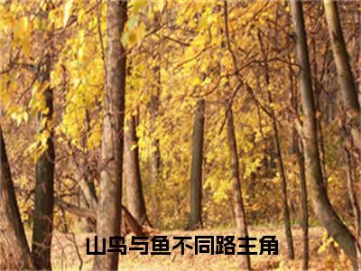 山鸟与鱼不同路（宋瑜李政屿）全文免费阅读无弹窗大结局-宋瑜李政屿（山鸟与鱼不同路）小说全文免费阅读最新章节列表