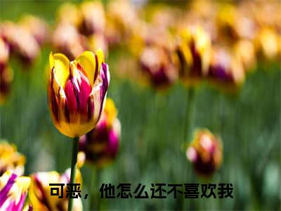 【新书】《陆宴川顾北》全文免费阅读无弹窗大结局-可恶，他怎么还不喜欢我全章节免费阅读