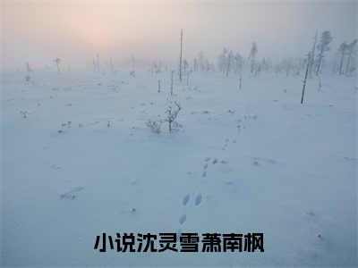 沈灵雪萧南枫免费阅读大结局无弹窗-小说推荐沈灵雪萧南枫精彩章节在线阅读