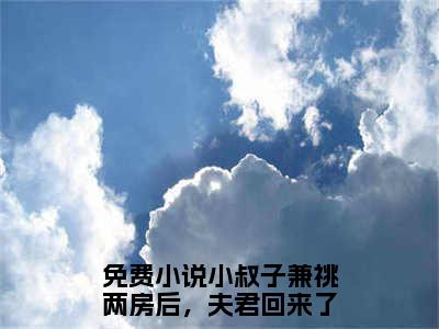 小叔子兼祧两房后，夫君回来了林之念全文免费阅读无弹窗大结局-小叔子兼祧两房后，夫君回来了林之念无弹窗阅读