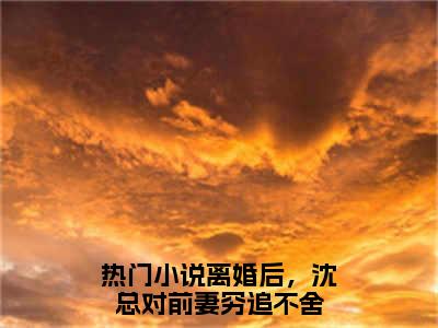 沈泽云（离婚后，沈总对前妻穷追不舍）全文免费阅读无弹窗大结局_沈泽云免费阅读全文大结局