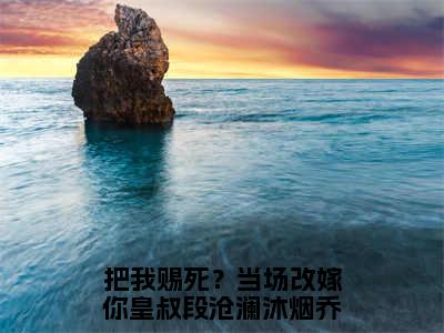 段沧澜沐烟乔小说免费阅读无弹窗，小说名字是：把我赐死？当场改嫁你皇叔的小说在线阅读无删减