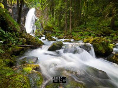 温绾（小可怜被赶出家门后，豪门大佬追疯了）在哪免费看-小说（温绾）小可怜被赶出家门后，豪门大佬追疯了全文完整版免费阅读