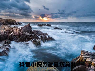 苏凝夏沈莫北热门小说 全文免费阅读无弹窗大结局-苏凝夏沈莫北全文无弹窗免费阅读大结局