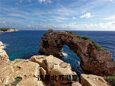 沈莫北苏凝夏（沈莫北苏凝夏）完整版小说阅读_沈莫北苏凝夏全文免费阅读笔趣阁（沈莫北苏凝夏）