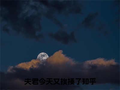 夫君今天又挨揍了（堇熙贺舒）全文免费阅读无弹窗大结局_夫君今天又挨揍了完整章节阅读