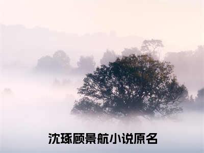 沈琢顾景航全文全文免费阅读_（沈琢顾景航免费阅读无弹窗）沈琢顾景航全文最新章节列表笔趣阁（沈琢顾景航）