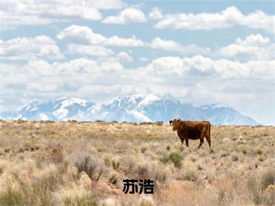 苏浩（影综租客）全文小说-苏浩小说最新章节免费阅读