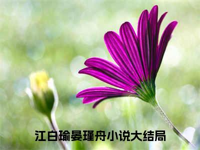 江白瑜晏瑾舟全文免费阅读无弹窗大结局_（江白瑜晏瑾舟）最新章节列表笔趣阁（男主的白月光重生后）