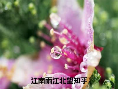 江南雨江北望（江南雨江北望）全文免费阅读无弹窗大结局_江南雨江北望免费最新章节列表_笔趣阁