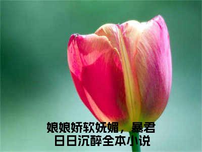 玉芙蓉孟祈安小说（娘娘娇软妩媚，暴君日日沉醉）全文免费阅读结局-玉芙蓉孟祈安强推全文阅读无弹窗