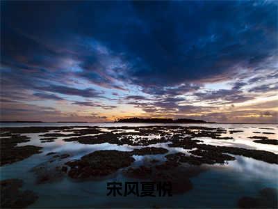 宋风夏悦是哪部小说的主角-《宋风夏悦》全文无弹窗完整版阅读