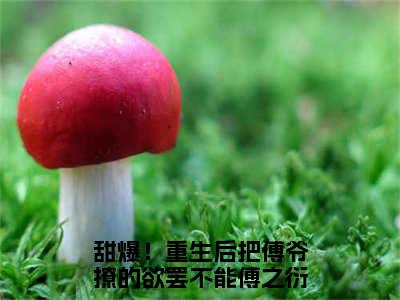 甜爆！重生后把傅爷撩的欲罢不能（傅之衍苏以念小说）全文免费阅读无弹窗大结局_傅之衍苏以念小说免费阅读最新章节列表