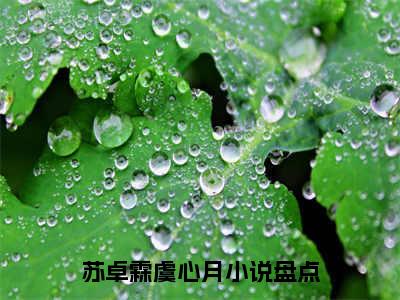 苏卓霖虞心月（苏卓霖虞心月）小说免费在线阅读_苏卓霖虞心月全本免费小说阅读（苏卓霖虞心月）