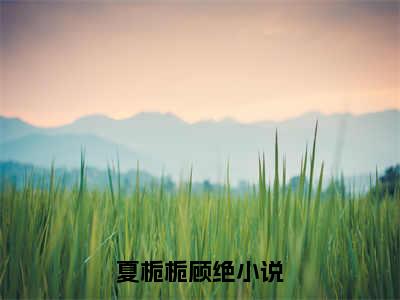 夏栀栀顾绝（夏栀栀顾绝）免费阅读无弹窗大结局-夏栀栀顾绝（夏栀栀顾绝）全文无错版阅读无弹窗