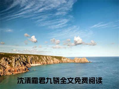 沈清霜君九骁小说全文免费阅读-沈清霜君九骁最新小说全文阅读