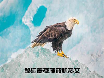 触碰蔷薇林筱帆（触碰蔷薇林筱帆）小说全本完结版免费阅读