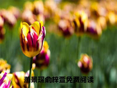 萧景琛俞梓萱全文免费阅读无弹窗大结局_萧景琛俞梓萱无弹窗全文阅读