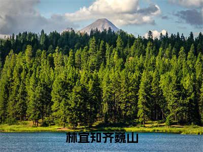 【新书】《林宜知齐巍山》全文免费阅读无弹窗大结局-六零之东北来了个大美人全文全章节免费阅读